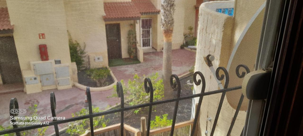 Surf & Chill Bungalow 69, Quiet Green Oasis With Community Swimmingpool Parque Holandes Eksteriør bilde