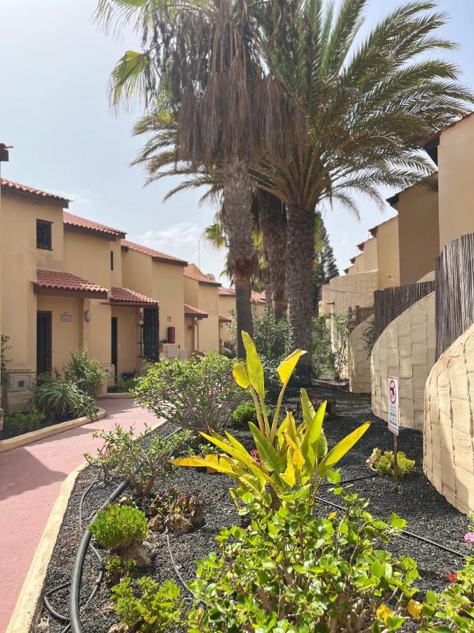 Surf & Chill Bungalow 69, Quiet Green Oasis With Community Swimmingpool Parque Holandes Eksteriør bilde