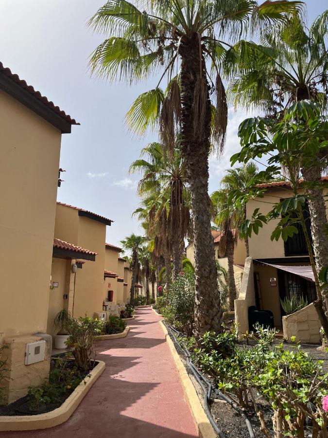 Surf & Chill Bungalow 69, Quiet Green Oasis With Community Swimmingpool Parque Holandes Eksteriør bilde