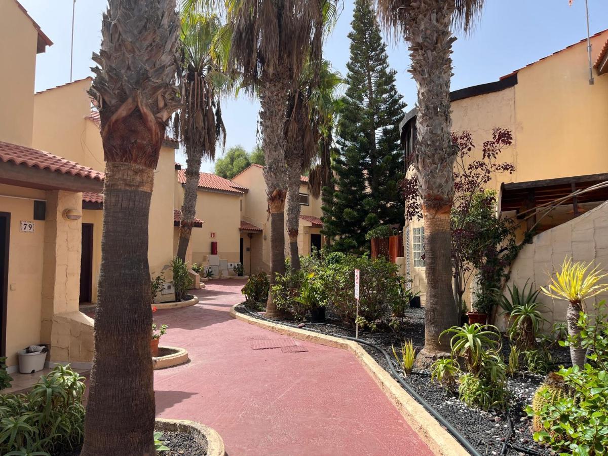 Surf & Chill Bungalow 69, Quiet Green Oasis With Community Swimmingpool Parque Holandes Eksteriør bilde