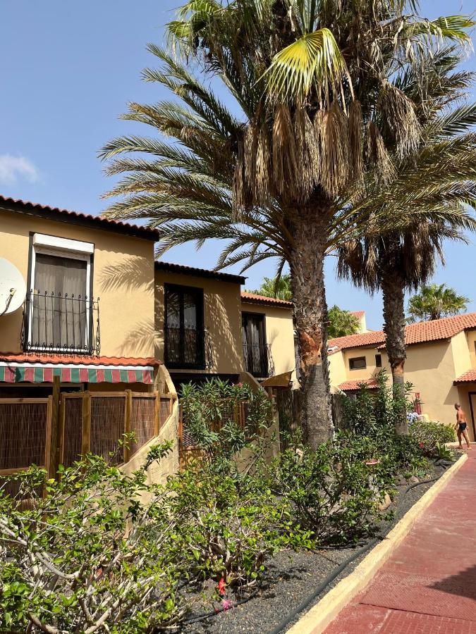 Surf & Chill Bungalow 69, Quiet Green Oasis With Community Swimmingpool Parque Holandes Eksteriør bilde