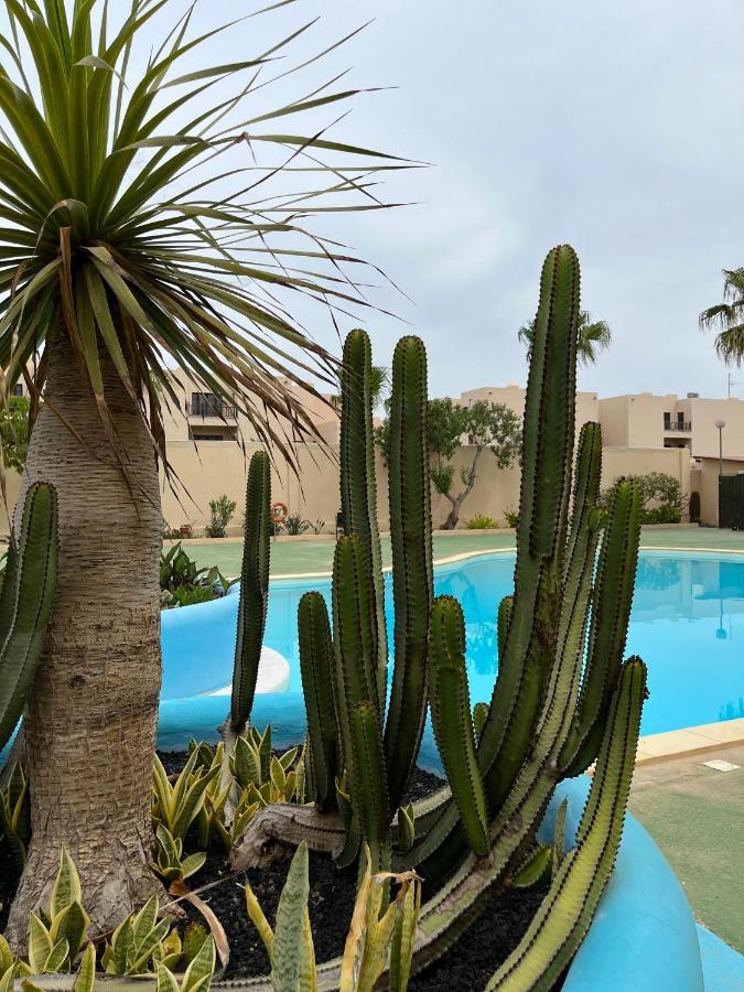 Surf & Chill Bungalow 69, Quiet Green Oasis With Community Swimmingpool Parque Holandes Eksteriør bilde