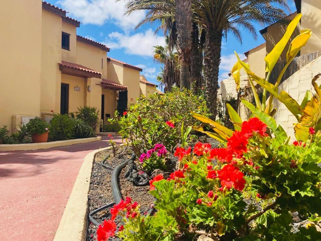 Surf & Chill Bungalow 69, Quiet Green Oasis With Community Swimmingpool Parque Holandes Eksteriør bilde