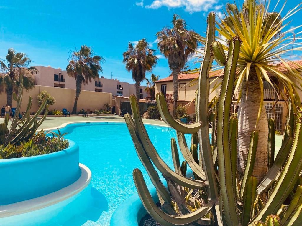 Surf & Chill Bungalow 69, Quiet Green Oasis With Community Swimmingpool Parque Holandes Eksteriør bilde