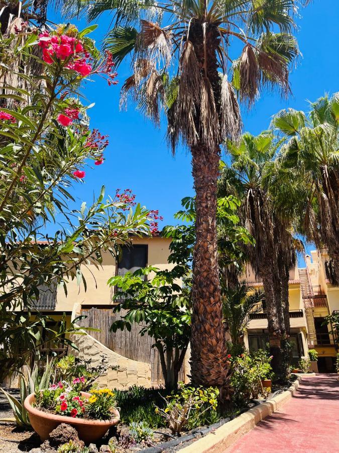 Surf & Chill Bungalow 69, Quiet Green Oasis With Community Swimmingpool Parque Holandes Eksteriør bilde